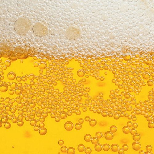 San-Diego-Brewery-Tour-Beer-Background10